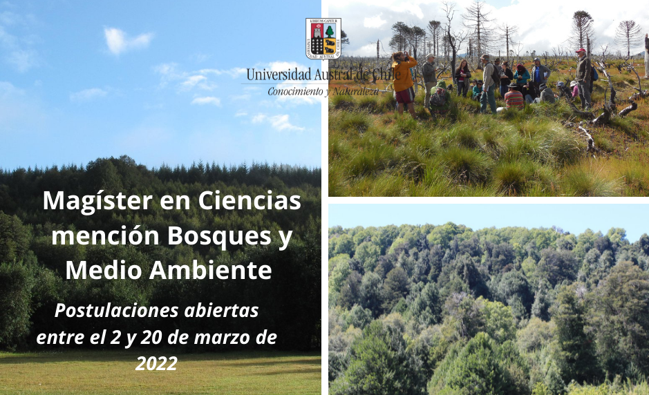 Postulaciones al Magíster en Ciencias mención Bosques y Medio Ambiente