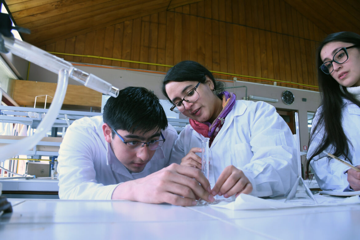 Científicos de la UACh en el Top 2% de los más citados del mundo