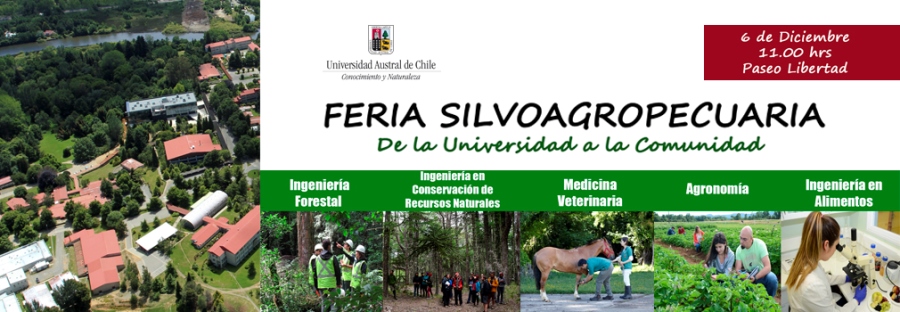 Paseo Libertad  de Valdivia recibe nuevamente Feria Silvoagropecuaria de la UACh