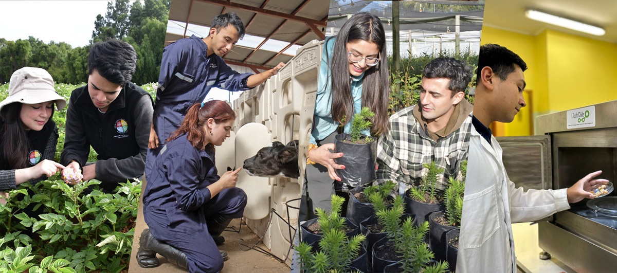 Feria Silvoagropecuaria llevará la ciencia y oferta académica al centro de Valdivia