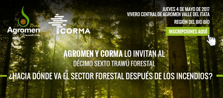 Trawü Forestal 2017 abordará desafíos de pymes forestales y madereras pos incendios