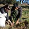 Realizaron jornada de plantación en bosque comestible de la UACh