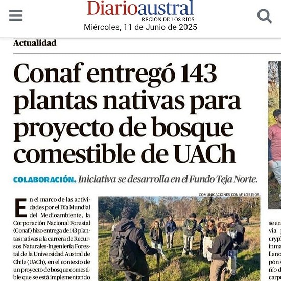 Conaf entregó 143 plantas nativas para proyecto de bosque comestible de UACh