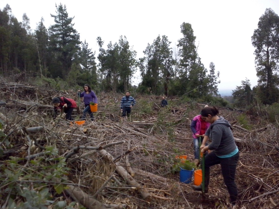 Estudiantes participan en Taller de Plantaciones