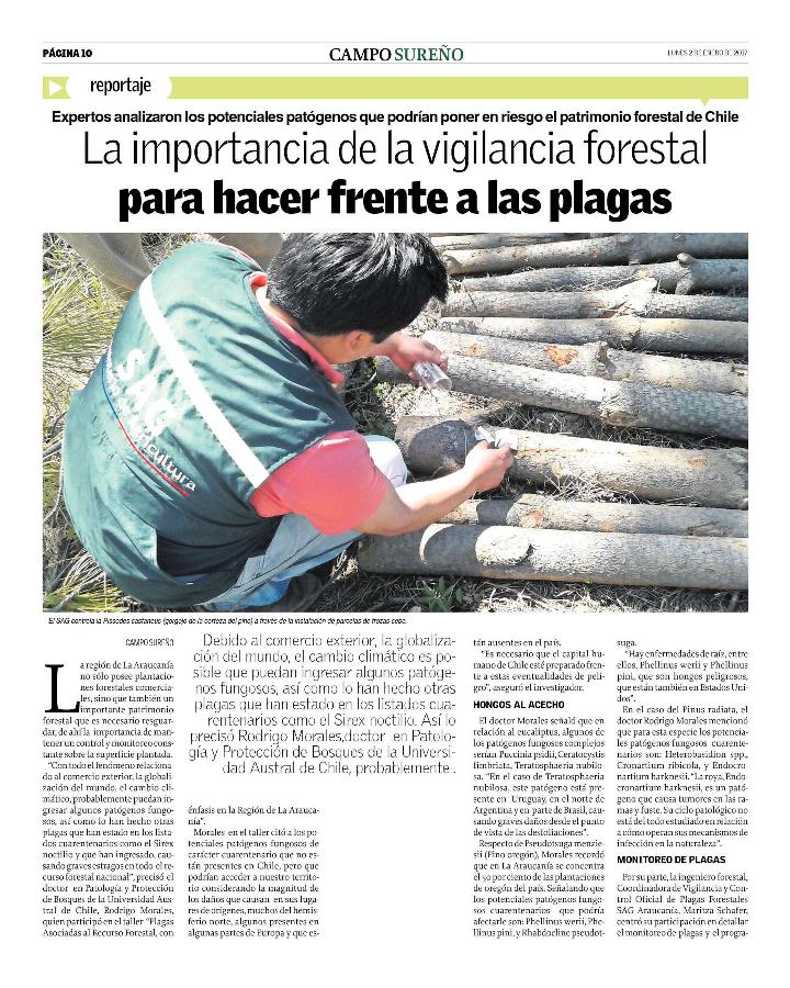 La importancia de la vigilancia forestal para hacer frente a las plagas