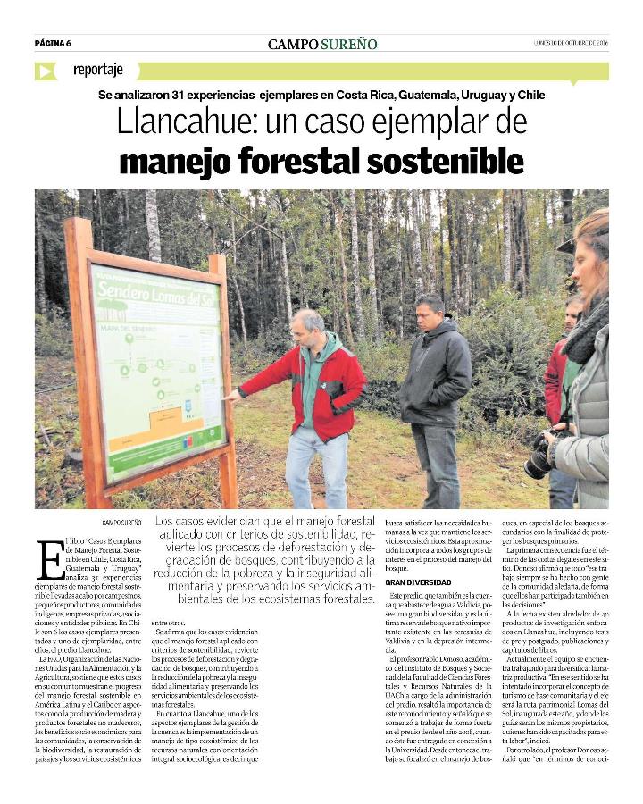 Llancahue: un caso ejemplar de manejo forestal sostenible