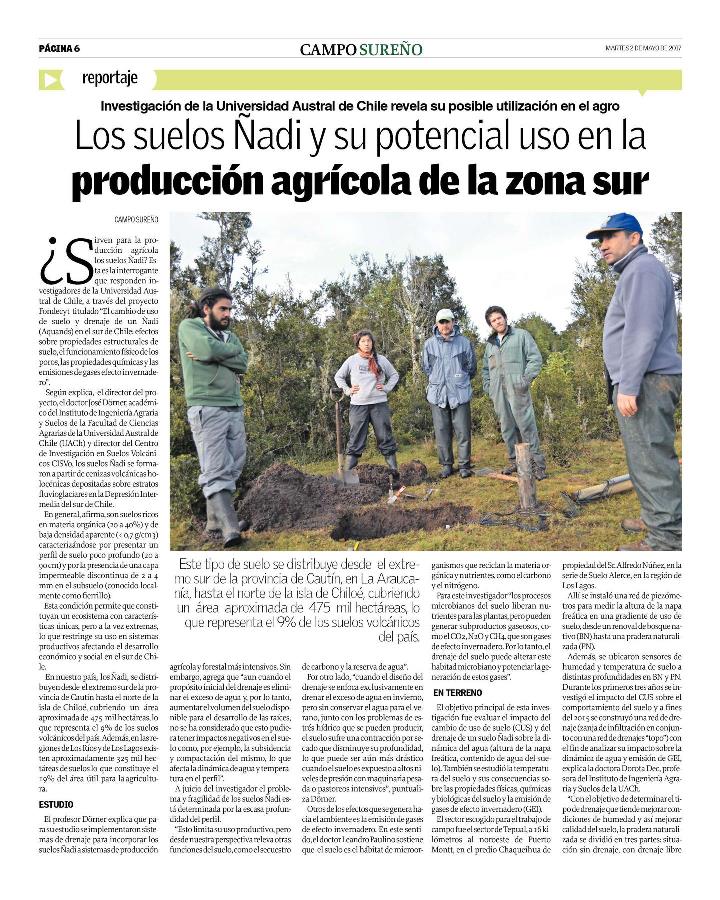 Los suelos ñadi y su potencial uso en la producción agrícola de la zona sur