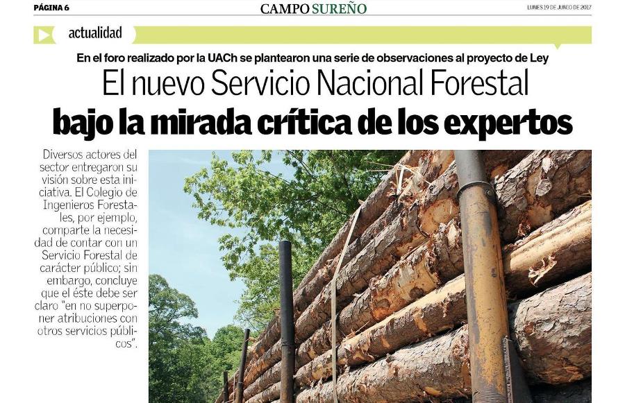 El nuevo Servicio Nacional Forestal bajo la mirada crítica de los expertos