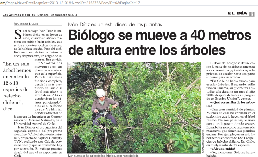 Biólogo se mueve a 40 metros de altura entre los árboles
