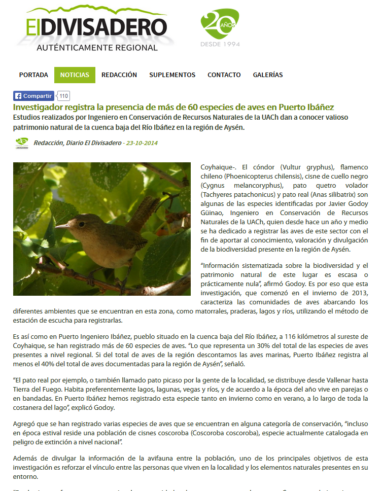 Investigador registra la presencia de más de 60 especies de aves en Puerto Ibáñez