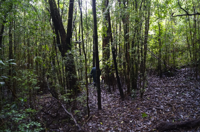 Encuesta sobre: Comunidad y conservación del patrimonio natural