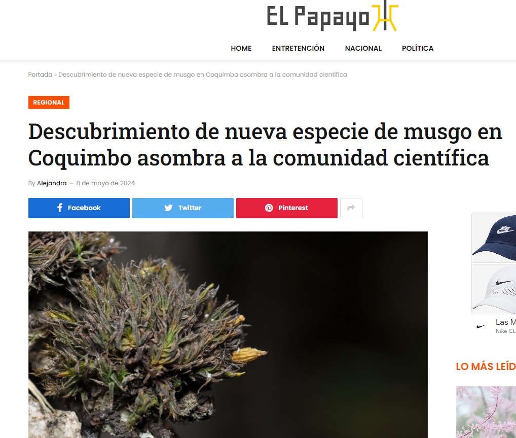 Descubrimiento de nueva especie de musgo en Coquimbo asombra a la comunidad científica