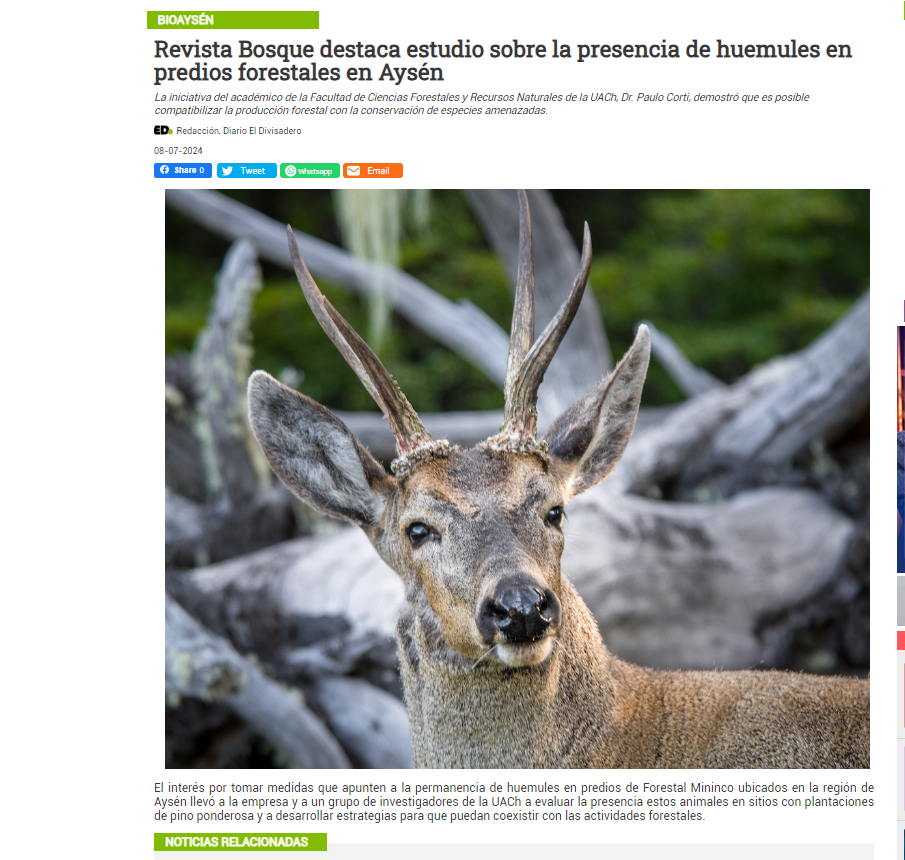 Revista Bosque destaca estudio sobre la presencia de huemules en predios forestales en Aysén