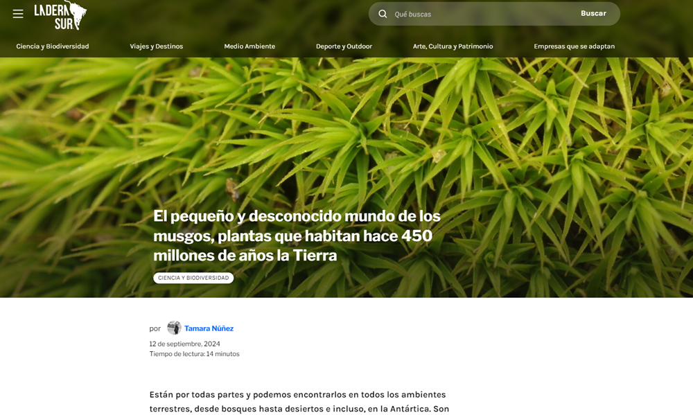 El pequeño y desconocido mundo de los musgos, plantas que habitan hace 450 millones de años la Tierra