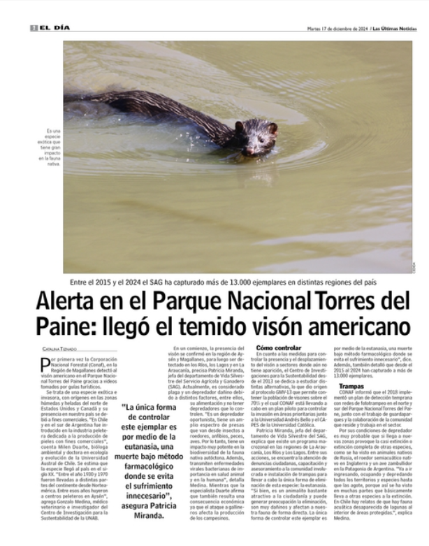 Alerta en el Parque Nacional Torres del Paine: llegó el temido visón americano