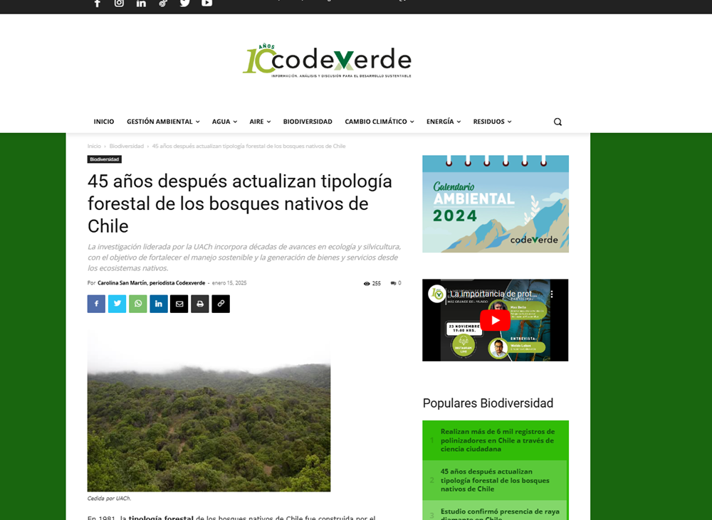 45 años después actualizan tipología forestal de los bosques nativos de Chile
