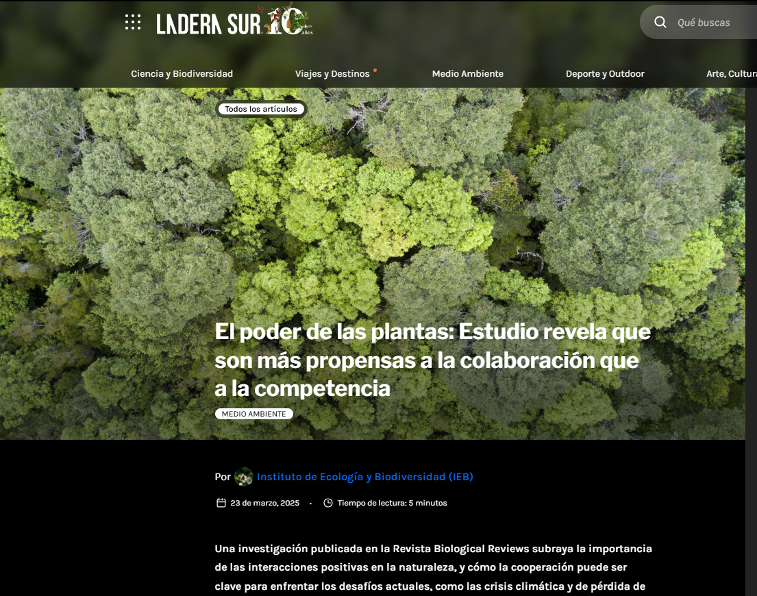 El poder de las plantas: Estudio revela que son más propensas a la colaboración que a la competencia