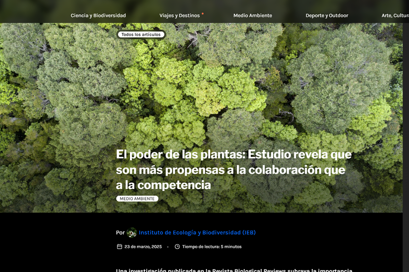 El poder de las plantas: Estudio revela que son más propensas a la colaboración que a la competencia
