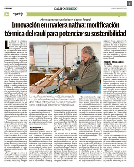 Innovación en madera nativa: modificación térmica del raulí para potenciar su sostenibilidad