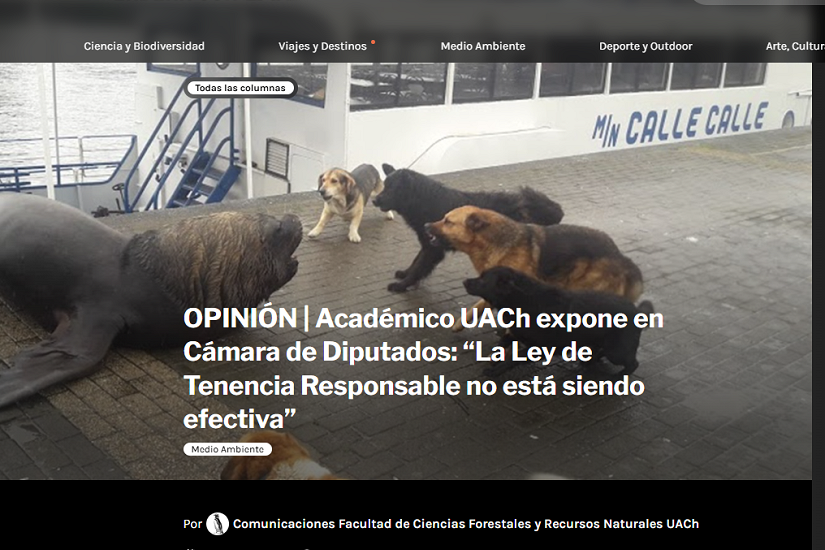 OPINIÓN | Académico UACh expone en Cámara de Diputados: “La Ley de Tenencia Responsable no está siendo efectiva”