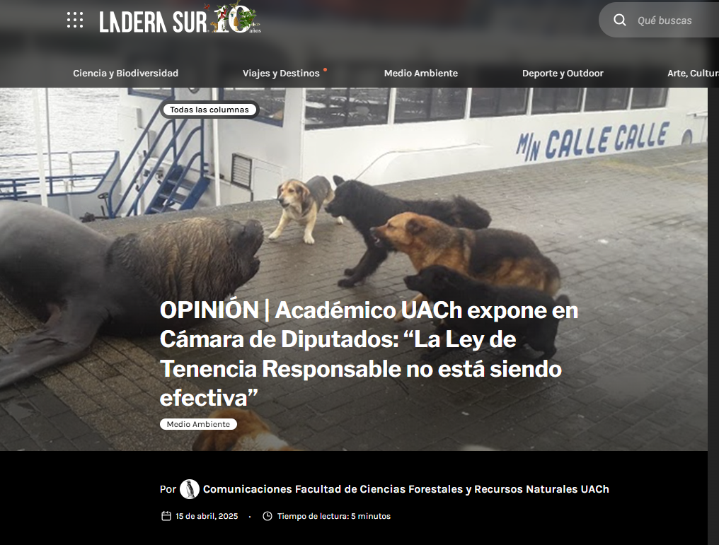 OPINIÓN | Académico UACh expone en Cámara de Diputados: “La Ley de Tenencia Responsable no está siendo efectiva”