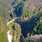 Incendios forestales e invasión de Pinus radiata: una doble amenaza para el ruil (Nothofagus alessandrii), especie en peligro de extinción