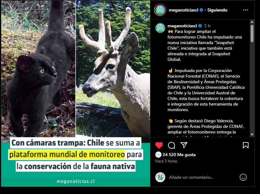 Con cámaras trampa: Chile se suma a plataforma mundial de monitoreo para la conservación de la fauna nativa