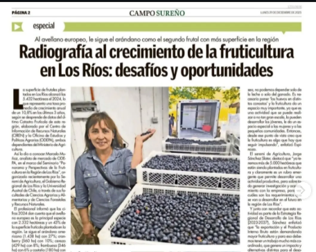 Radiografía al crecimiento de la fruticultura en Los Ríos