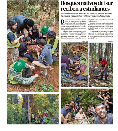 Bosques nativos del sur reciben a estudiantes