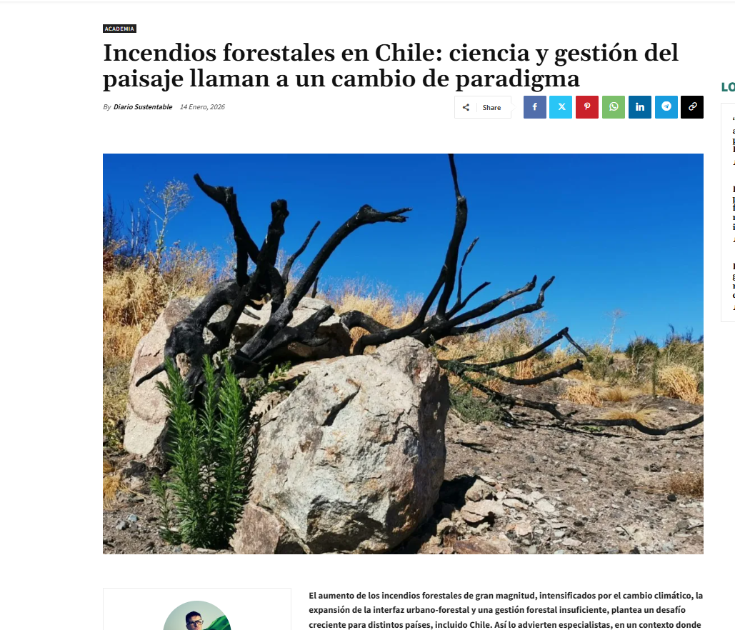 Incendios forestales en Chile: ciencia y gestión del paisaje llaman a un cambio de paradigma