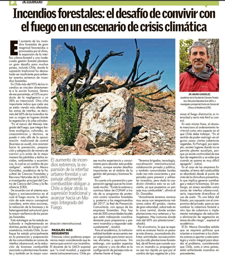 Incendios forestales: el desafío de convivir con el fuego en un escenario de crisis climática