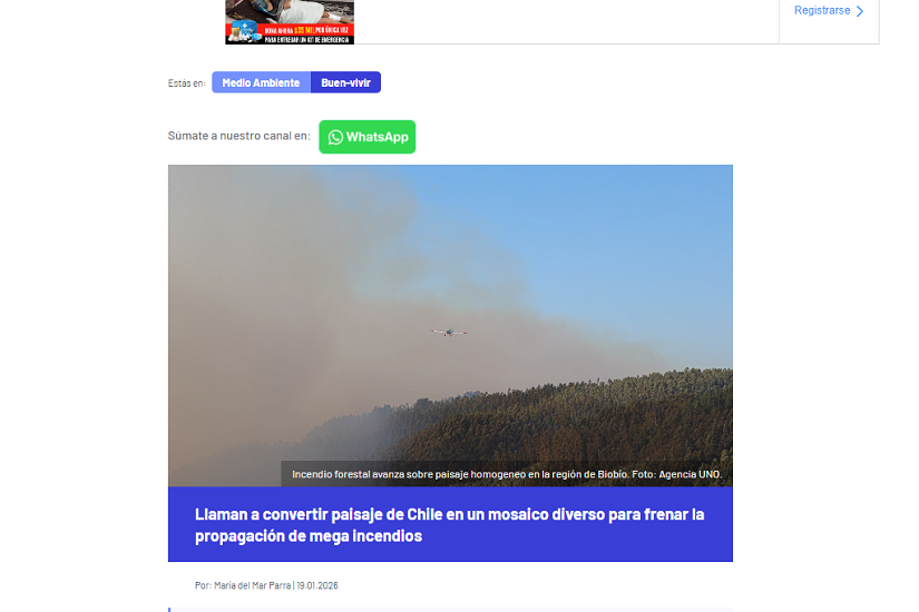 Llaman a convertir paisaje de Chile en un mosaico diverso para frenar la propagación de megaincendios