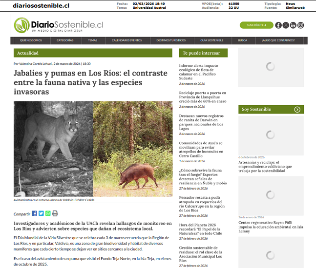 Jabalíes y pumas en Los Ríos: el contraste entre la fauna nativa y las especies invasoras