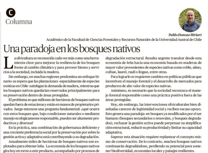 Una paradoja en los bosques nativos