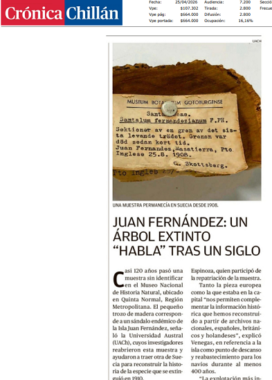 Juan Fernández, un árbol extinto habla tras un siglo