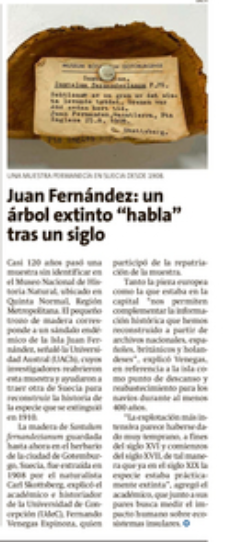 Juan Fernández: un árbol extinto 