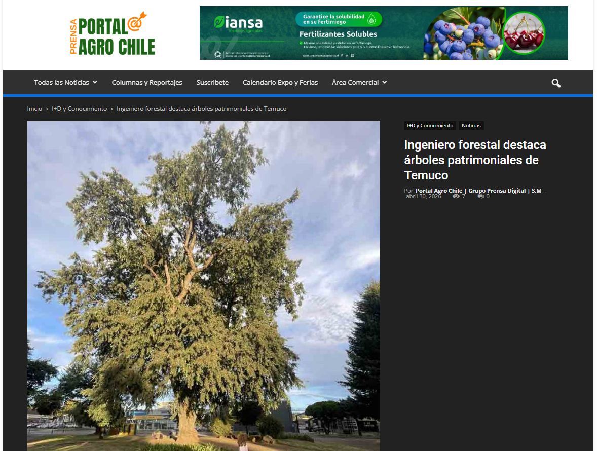 Ingeniero forestal destaca árboles patrimoniales de Temuco