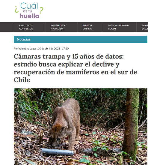 Cámaras trampa y 15 años de datos: estudio busca explicar el declive y recuperación de mamíferos en el sur de Chile