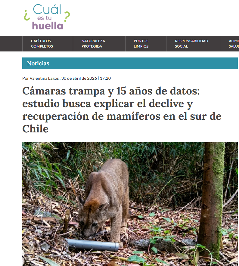 Cámaras trampa y 15 años de datos: estudio busca explicar el declive y recuperación de mamíferos en el sur de Chile