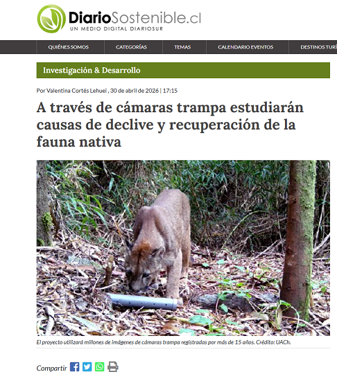 A través de cámaras trampa estudiarán causas de declive y recuperación de la fauna nativa
