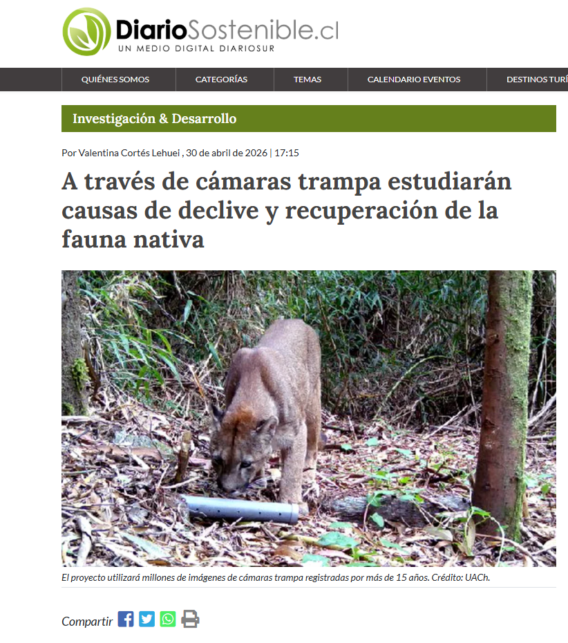A través de cámaras trampa estudiarán causas de declive y recuperación de la fauna nativa