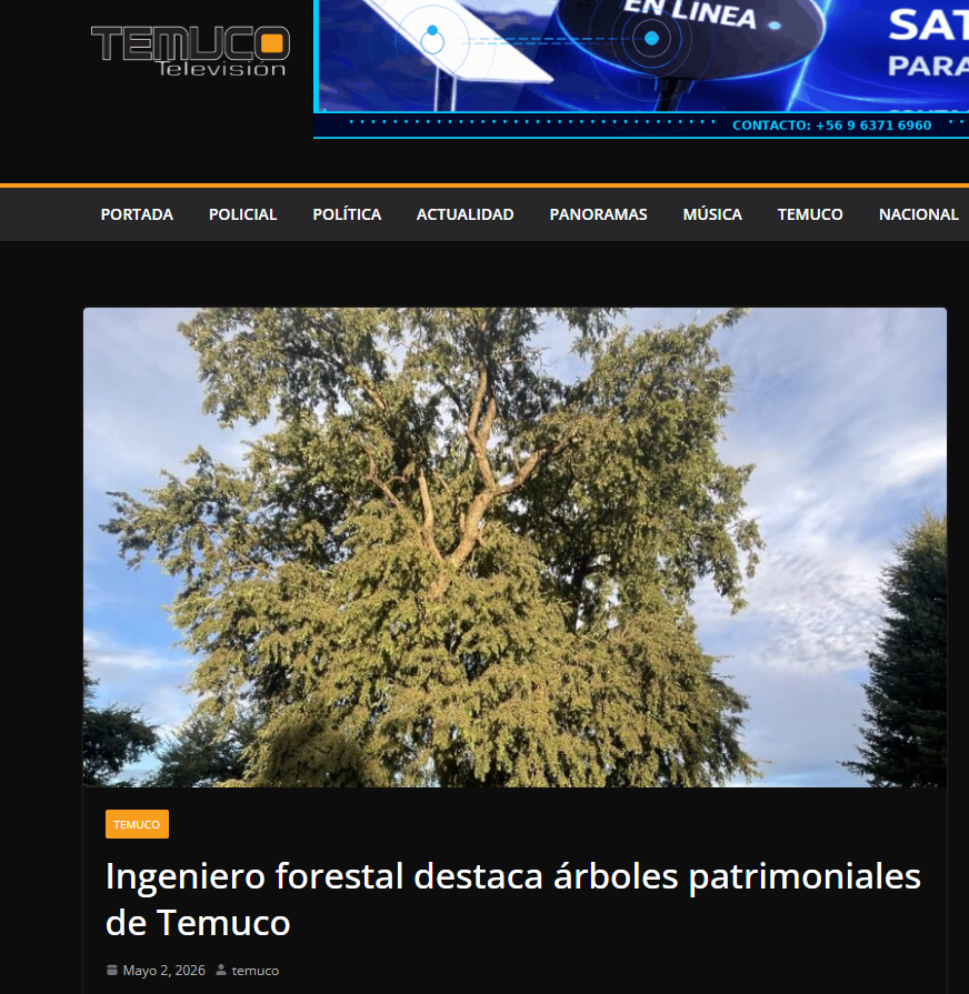 Ingeniero forestal destaca árboles patrimoniales de Temuco