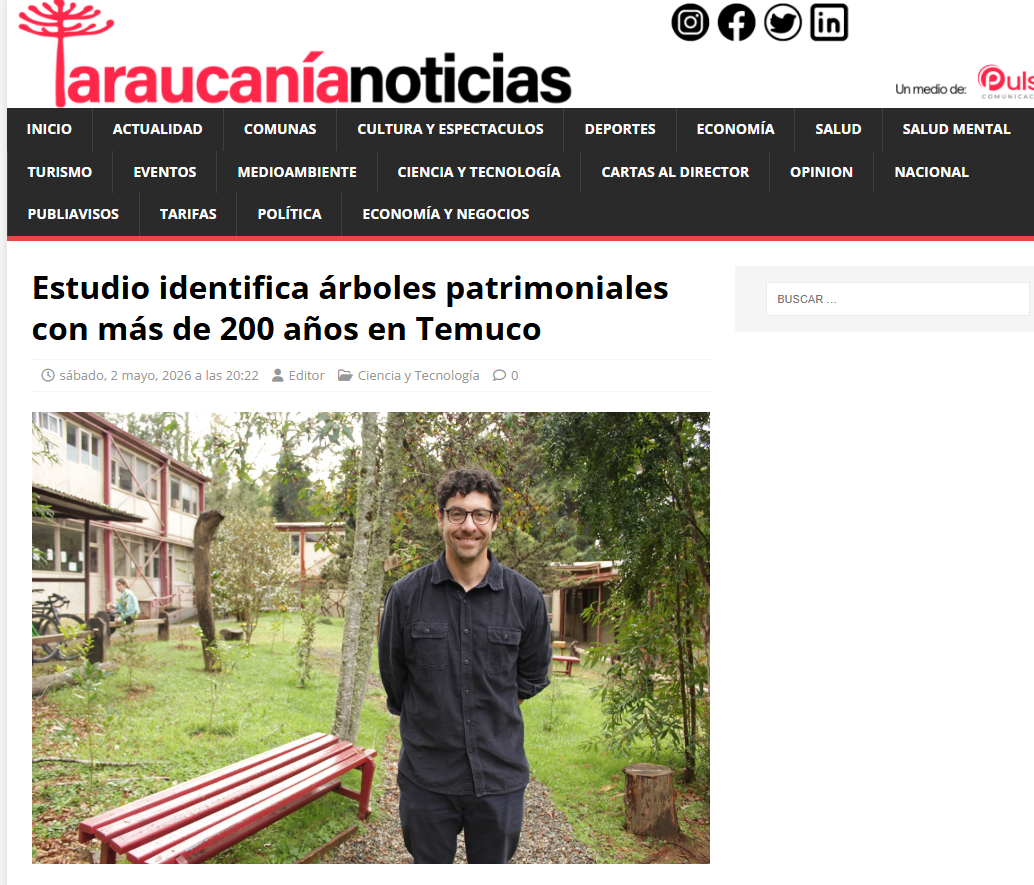 Estudio identifica árboles patrimoniales con más de 200 años en Temuco-araucanianoticias