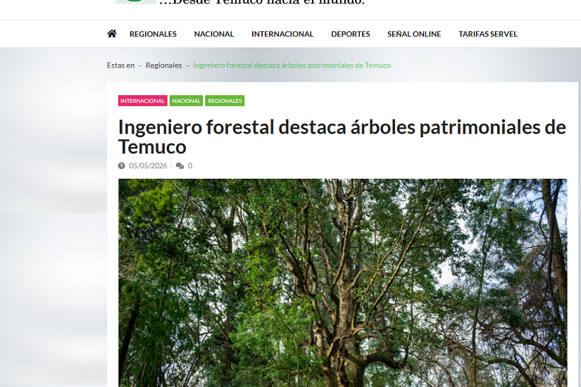 Ingeniero forestal destaca árboles patrimoniales de Temuco