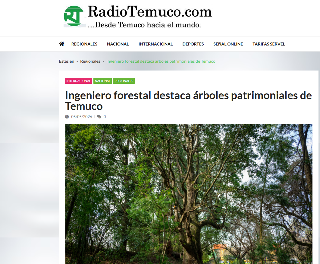 Ingeniero forestal destaca árboles patrimoniales de Temuco