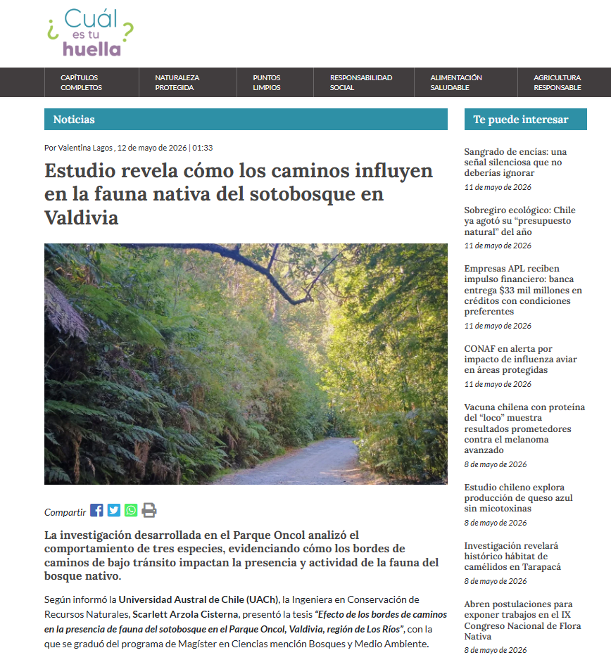 Estudio revela cómo los caminos influyen en la fauna nativa del sotobosque en Valdivia