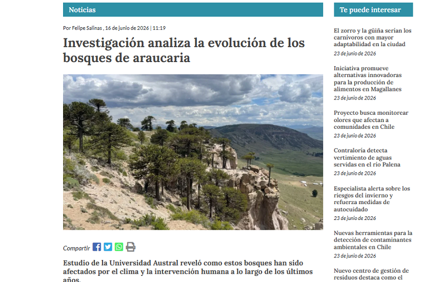 Investigación analiza la evolución de los bosques de araucaria