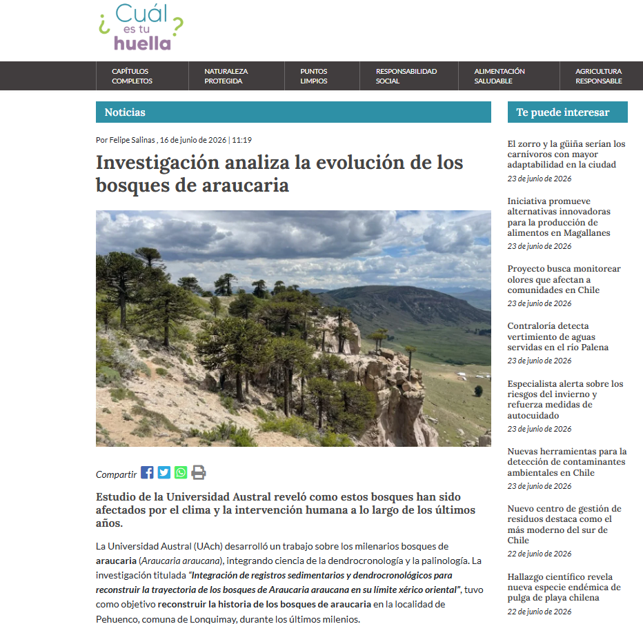 Investigación analiza la evolución de los bosques de araucaria