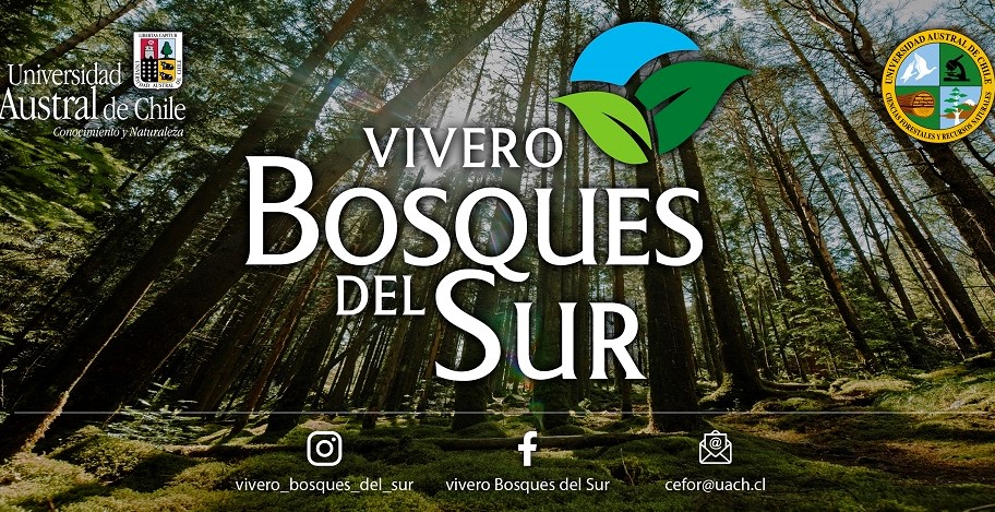Vivero Bosques del Sur potencia su imagen corporativa