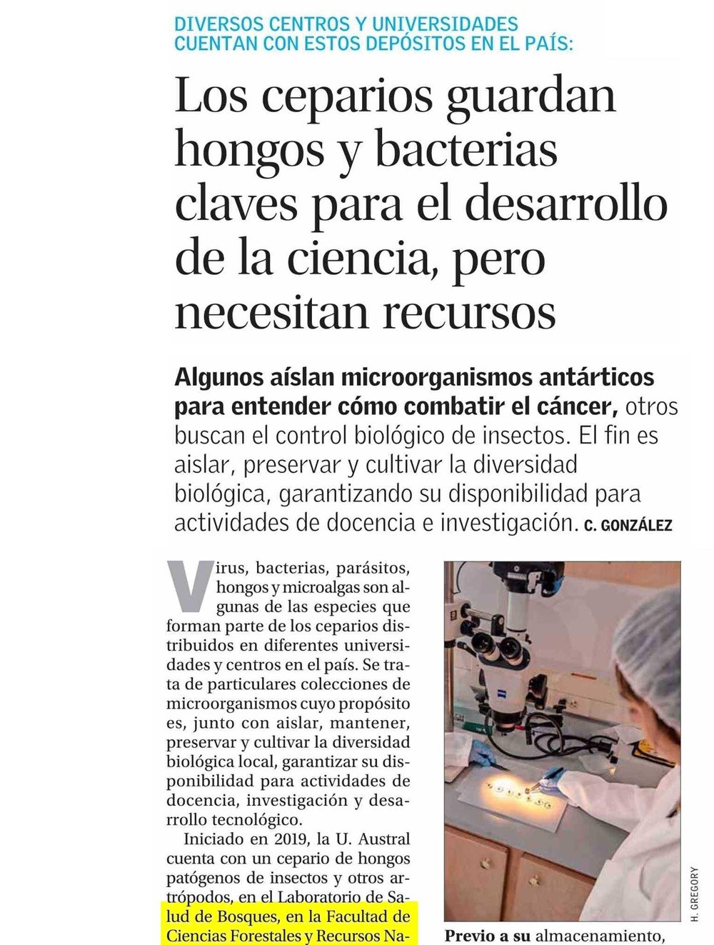 Los ceparios guardan hongos y bacterias claves para el desarrollo de la ciencia